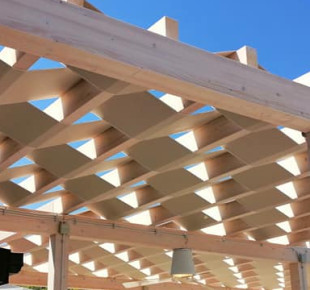 119060218_4549612985079073_7711406157850377720_n