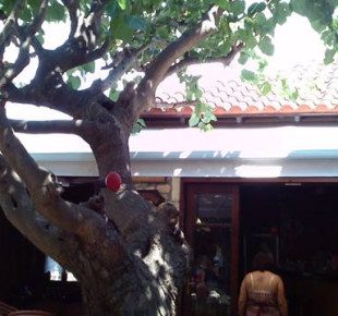 1001024_601130686594009_1122172905_n