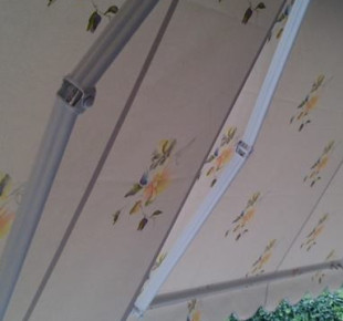 1001174_583276828379395_834041056_n