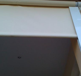 1004566_587020324671712_845026374_n