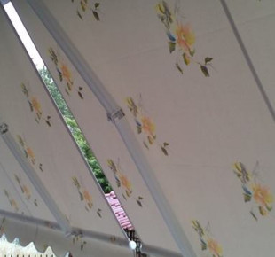 1012342_583276885046056_2018103835_n