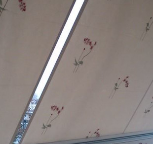 10348810_771727659534310_6758836795697831015_o