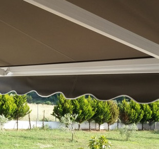 13256331_1205236862850052_7084004390658805020_n