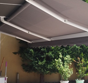 13524357_1229772777063127_9099085825439439122_n