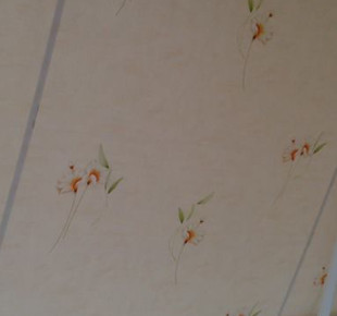 293093_574979875875757_304438313_n