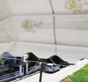 38085963_2285656578141403_4440476836618567680_n