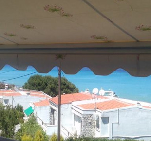 382659_576578695715875_199307842_n