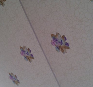 603861_573530402687371_1898264968_n