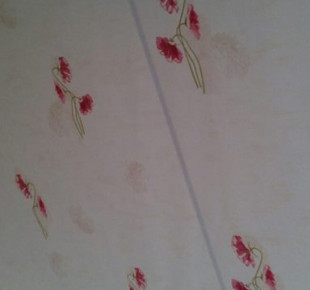 935217_571468152893596_1857026865_n