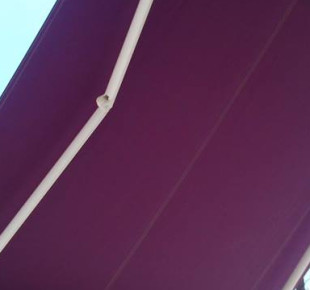 943189_580520608655017_552493688_n