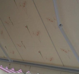 945994_568432036530541_772635582_n