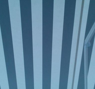 970388_580521335321611_1715369197_n