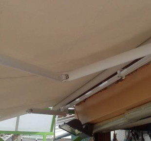 970759_576579489049129_1796780628_n