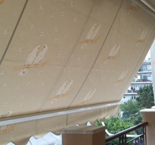 971094_574341082606303_533455750_n