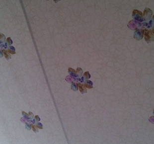 984144_573530599354018_1042489906_n