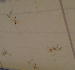 994820_591965410843870_158728559_n